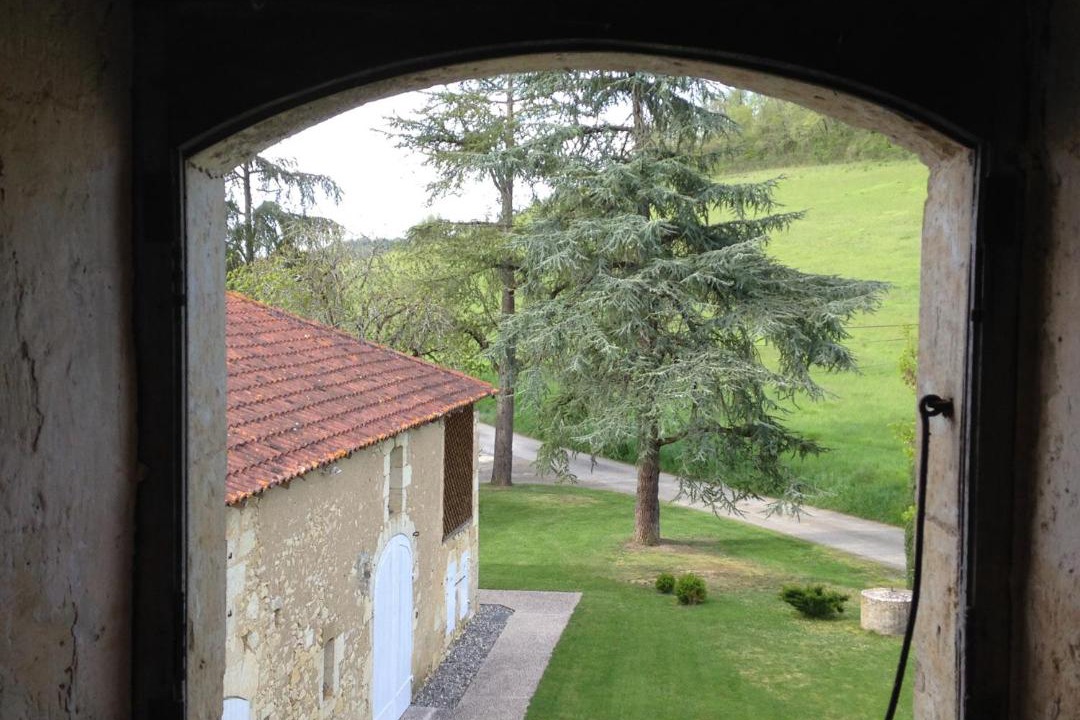 Photo of Others in Biran