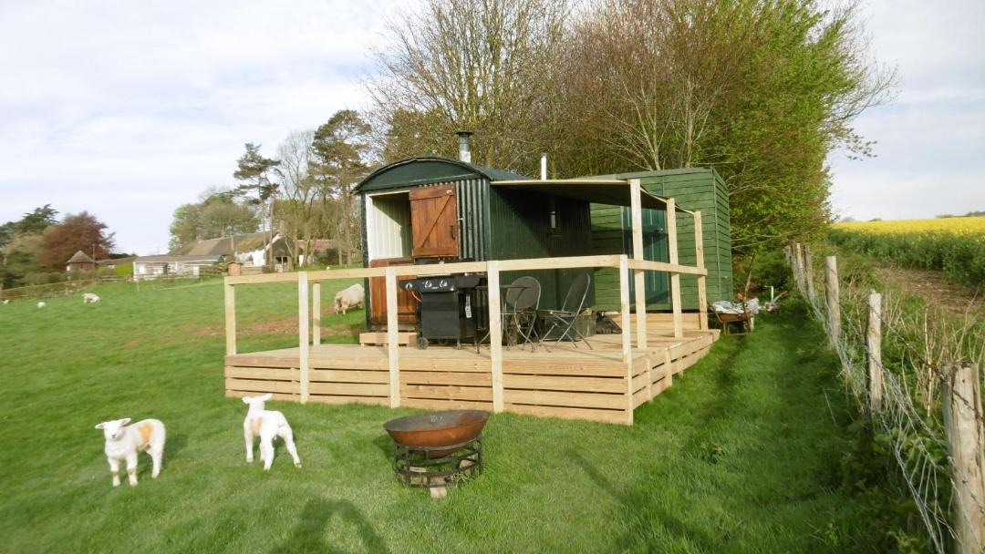 Photo of Buildings in Milton Abbas