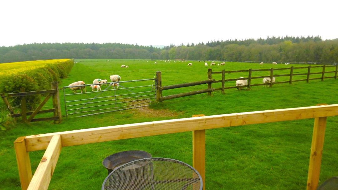 Photo of Others in Milton Abbas