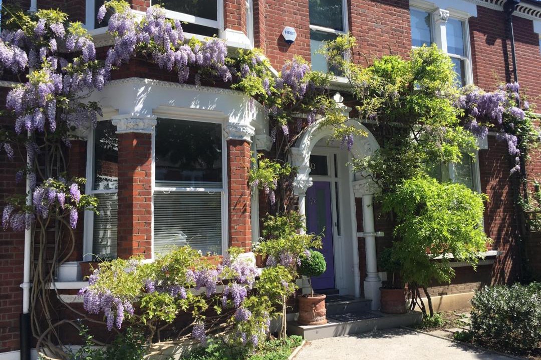 Photo of Others in Thurlow Park