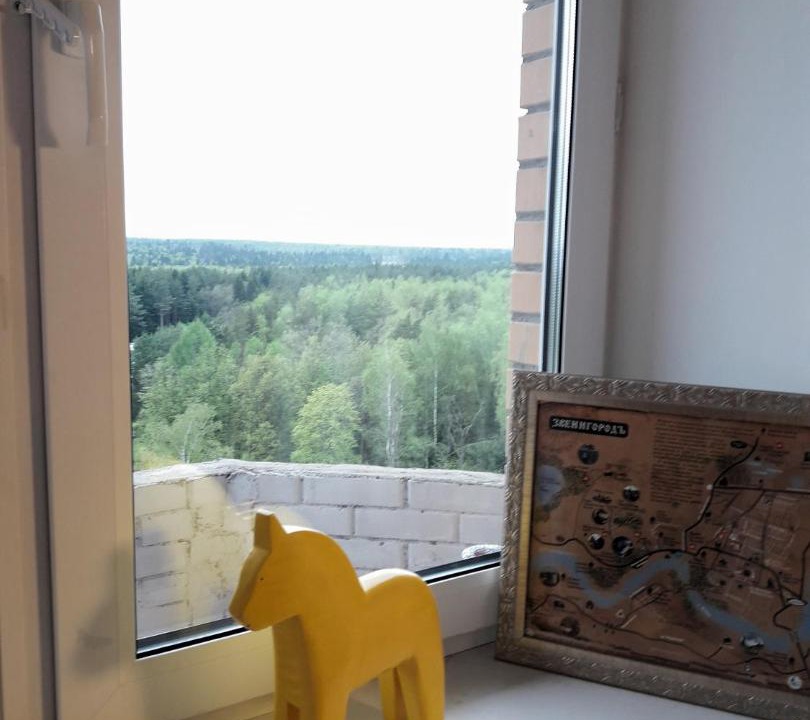 Photo of Others in Zvenigorod