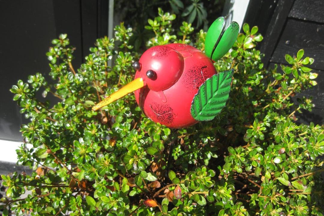 Photo of Others in Skanderborg