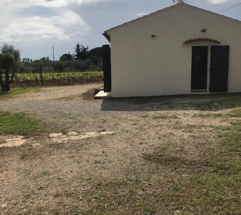 Photo of Buildings in Pignans