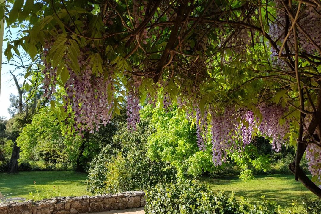 Photo of Others in Ghisonaccia