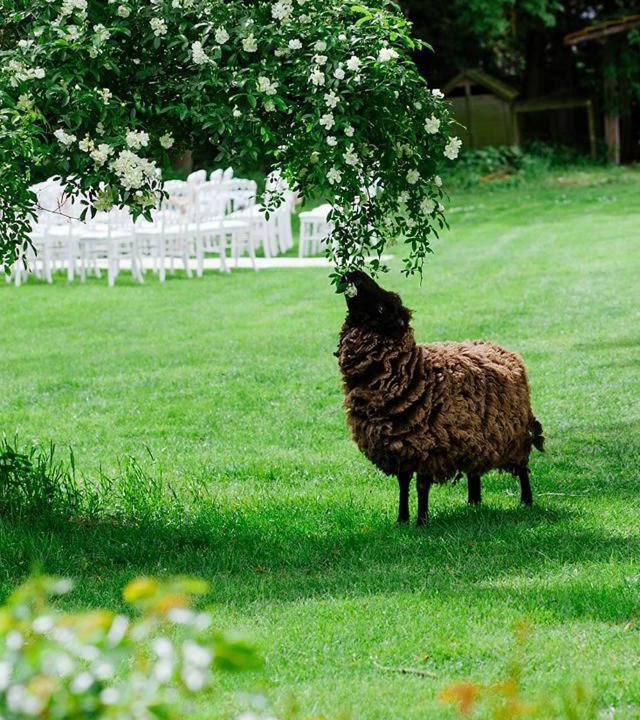 Photo of Others in Blaison-Saint-Sulpice