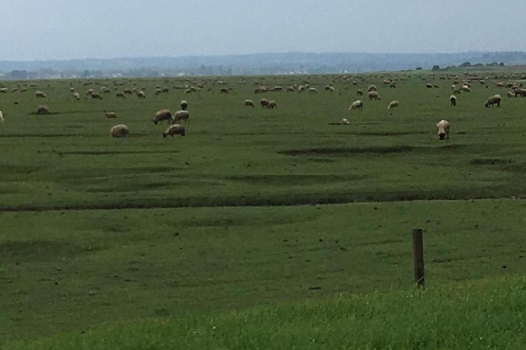 Photo of Others in Sacey