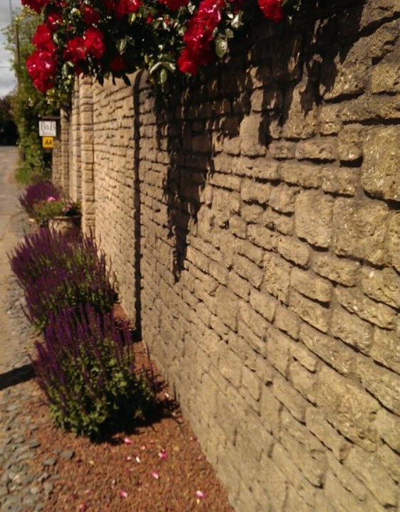 Photo of Others in Marcham