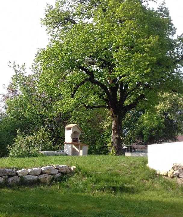 Photo of Others in Copponex
