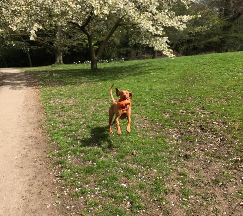 Photo of Others in Keswick