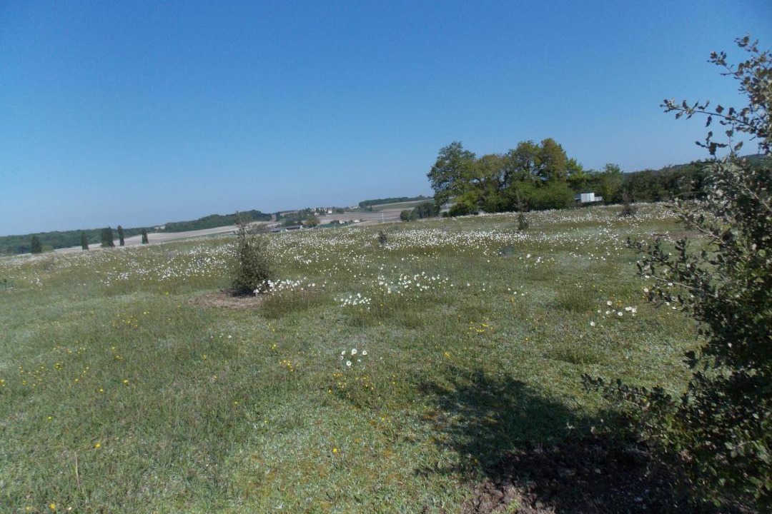 Photo of Others in Verteillac