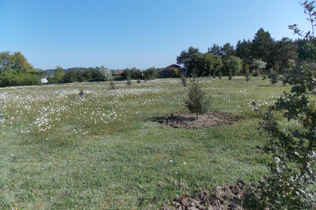 Photo of Others in Verteillac