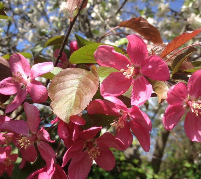 Photo of Others in Kaliningrad
