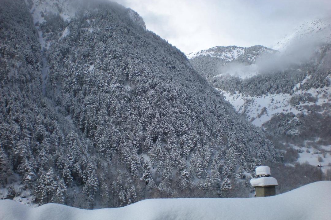 Photo of Others in Arinsal