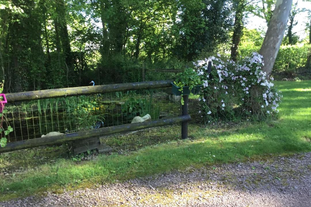 Photo of Others in Janville