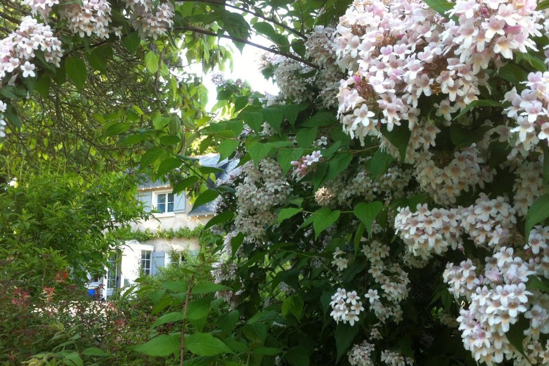 Photo of Others in Blaison-Saint-Sulpice