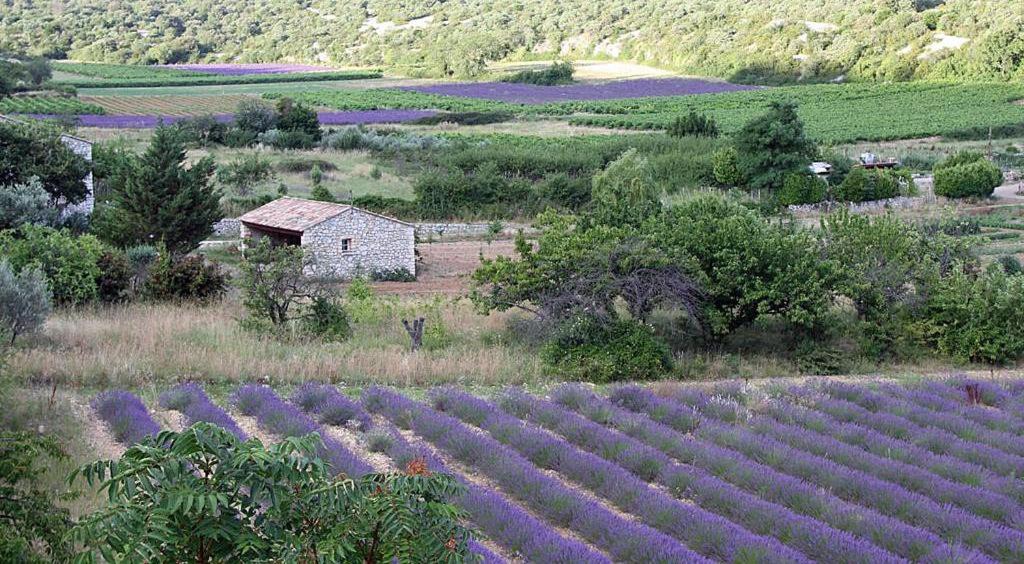 Photo of Others in Saint-Remeze