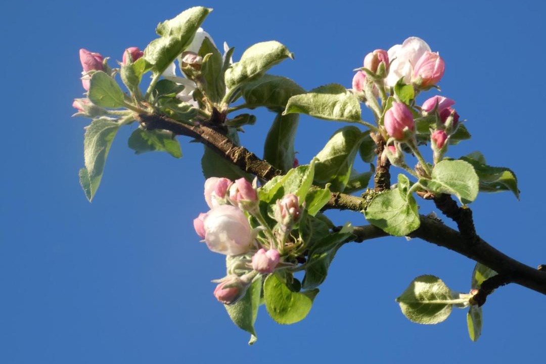 Photo of Outdoor in Sainte-Marguerite-de-Viette