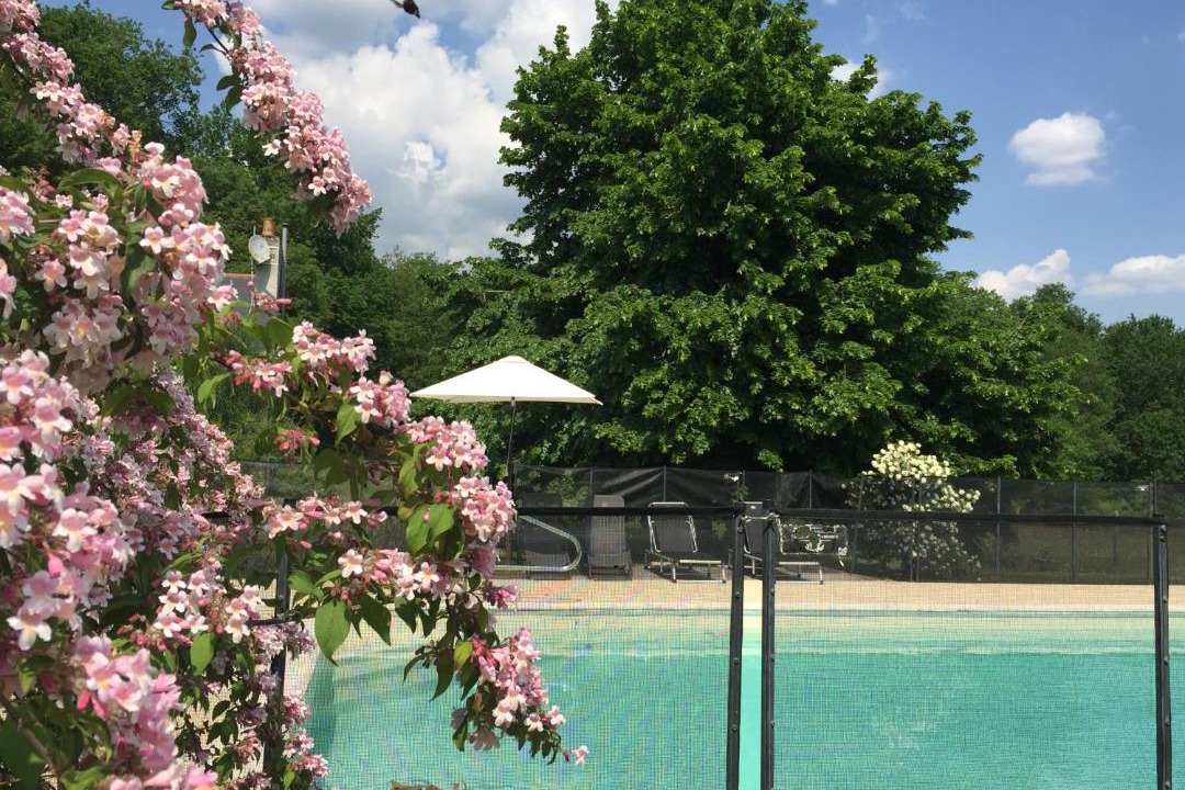 Photo of Others in Blaison-Saint-Sulpice