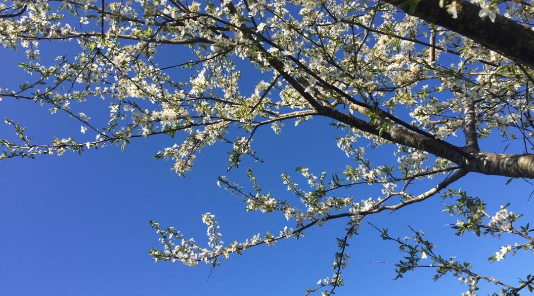 Photo of Outdoor in Hobro