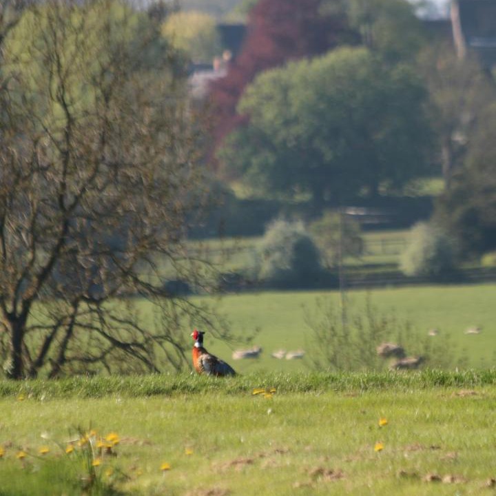 Photo of Outdoor in Sulgrave