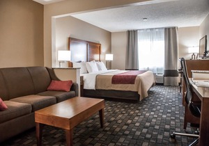 Comfort Inn North Joliet