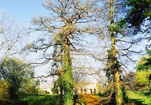 Wimbledon Holiday Lets