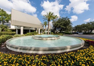 Marriott's Sabal Palms