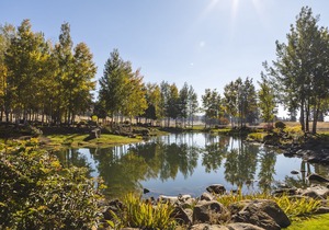 Running Y Ranch Resort