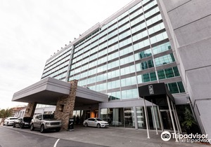 Hotel Colee, Atlanta Buckhead, Autograph Collection