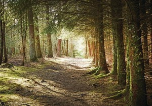 1 bedroom accommodation in Cropton, Pickering