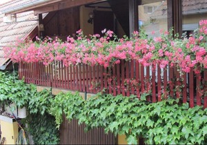 Gite du Vignoble Beblenheim