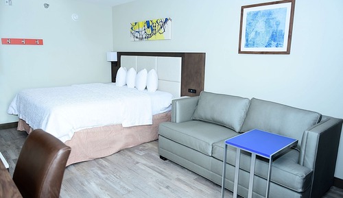 Deluxe Room, 1 King Bed, Non Smoking (Walk-in Shower;with Sofabed)
