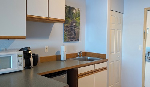 Standard Single Room, 1 King Bed