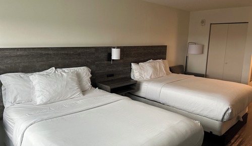 Basic Studio Suite, 2 Queen Beds