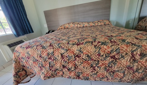 Single Room, 1 King Bed