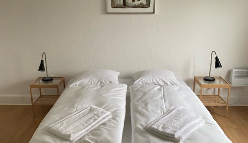 Basic Double or Twin Room, 2 Twin Beds