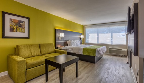 Studio, 1 King Bed with Sofa bed, Non Smoking, Refrigerator & Microwave