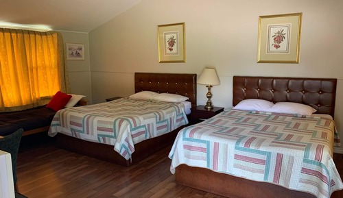 Basic Room, Multiple Beds, Non Smoking
