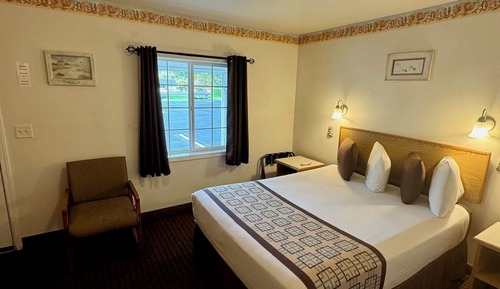 Single Queen Pet Friendly