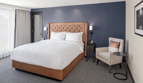 Room, 1 King Bed with Sofa bed (Hearing Accessible)