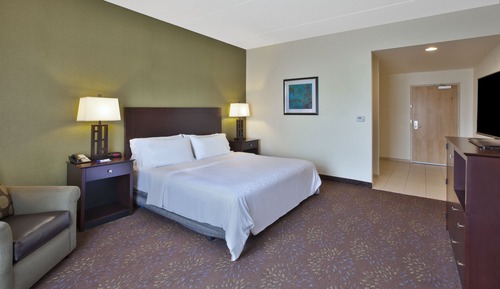 Standard Room, 1 King Bed, Accessible (Mobility, Accessible Tub)