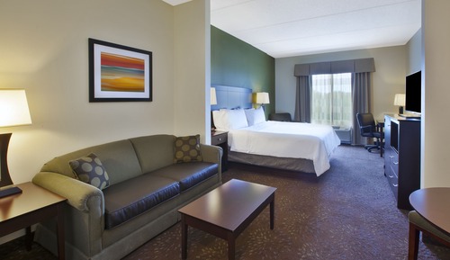Suite, 1 King Bed with Sofa bed, Accessible (Communications Accessible)