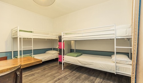 Bed in 8-Bed Dormitory Room