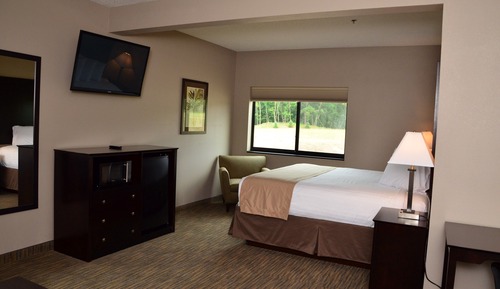 Business Suite, 1 King Bed with Sofa bed