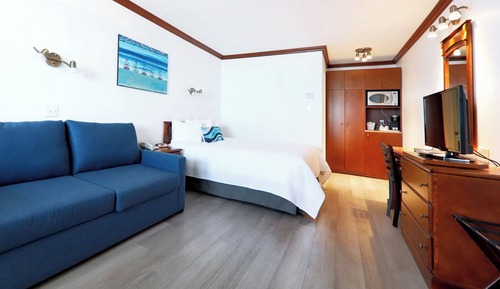 Deluxe Room, 1 Queen Bed with Sofa bed