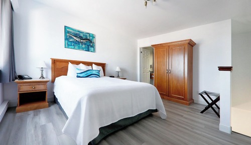 Studio, 1 Queen Bed, Kitchen