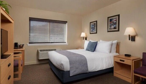 Senior Studio, 1 Queen Bed