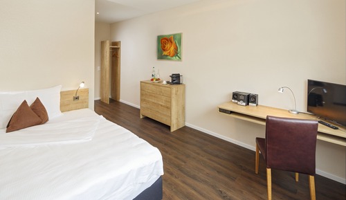 Double Room, 1 Queen Bed