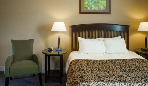 Standard Room, 1 Queen Bed