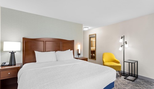 Room, 1 King Bed